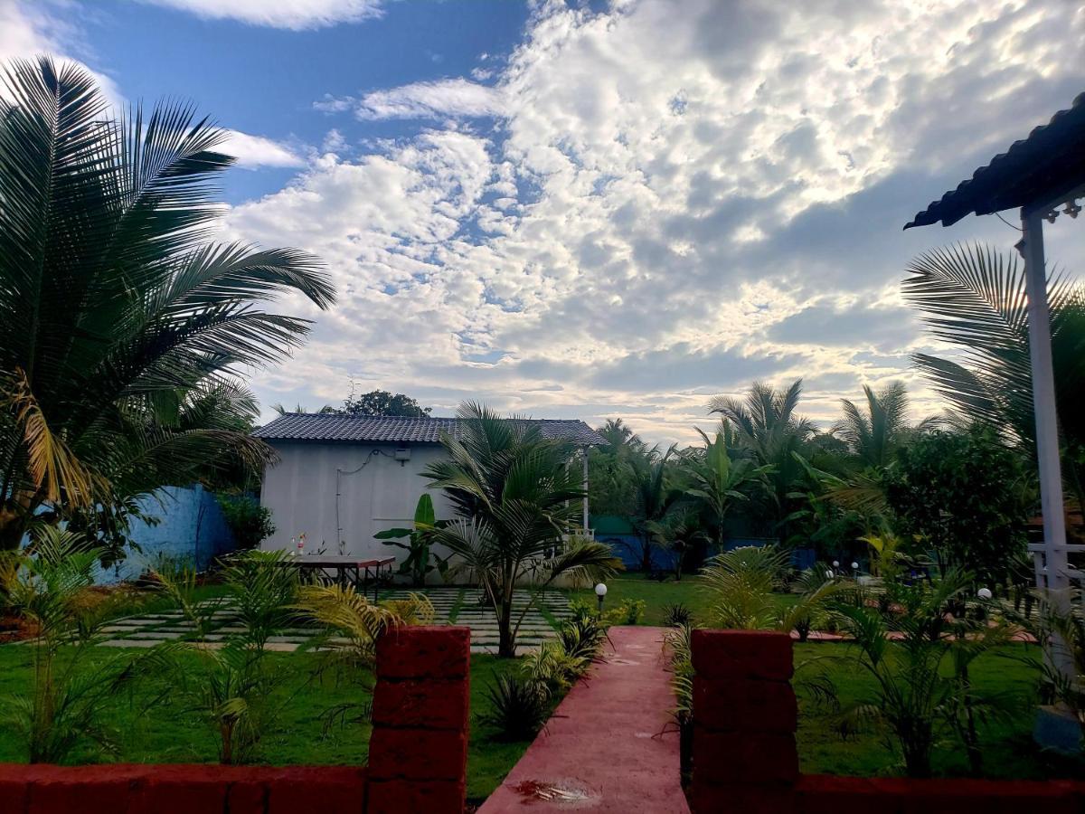 White Truffle Resort, Arambol Exterior foto
