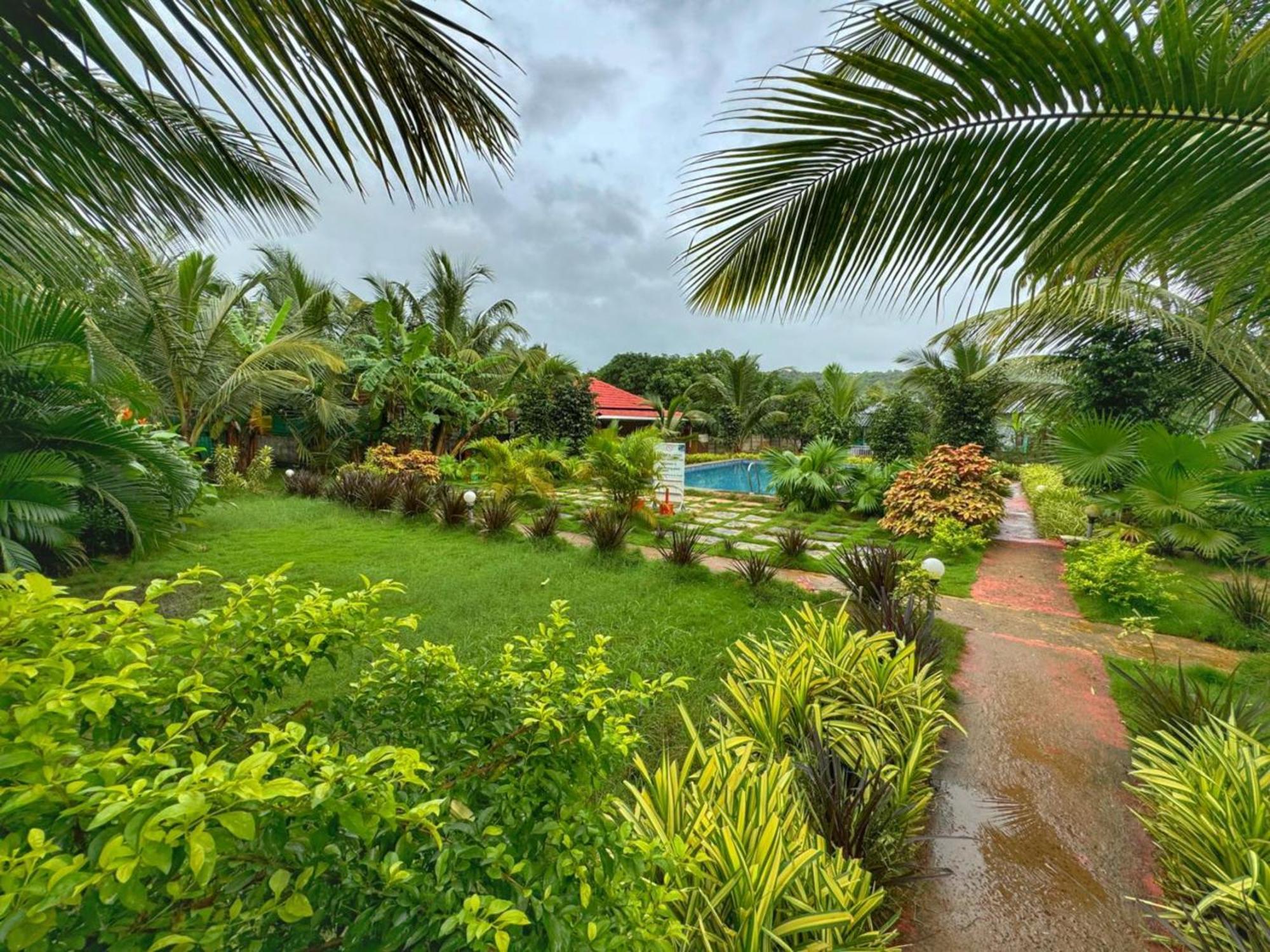 White Truffle Resort, Arambol Exterior foto