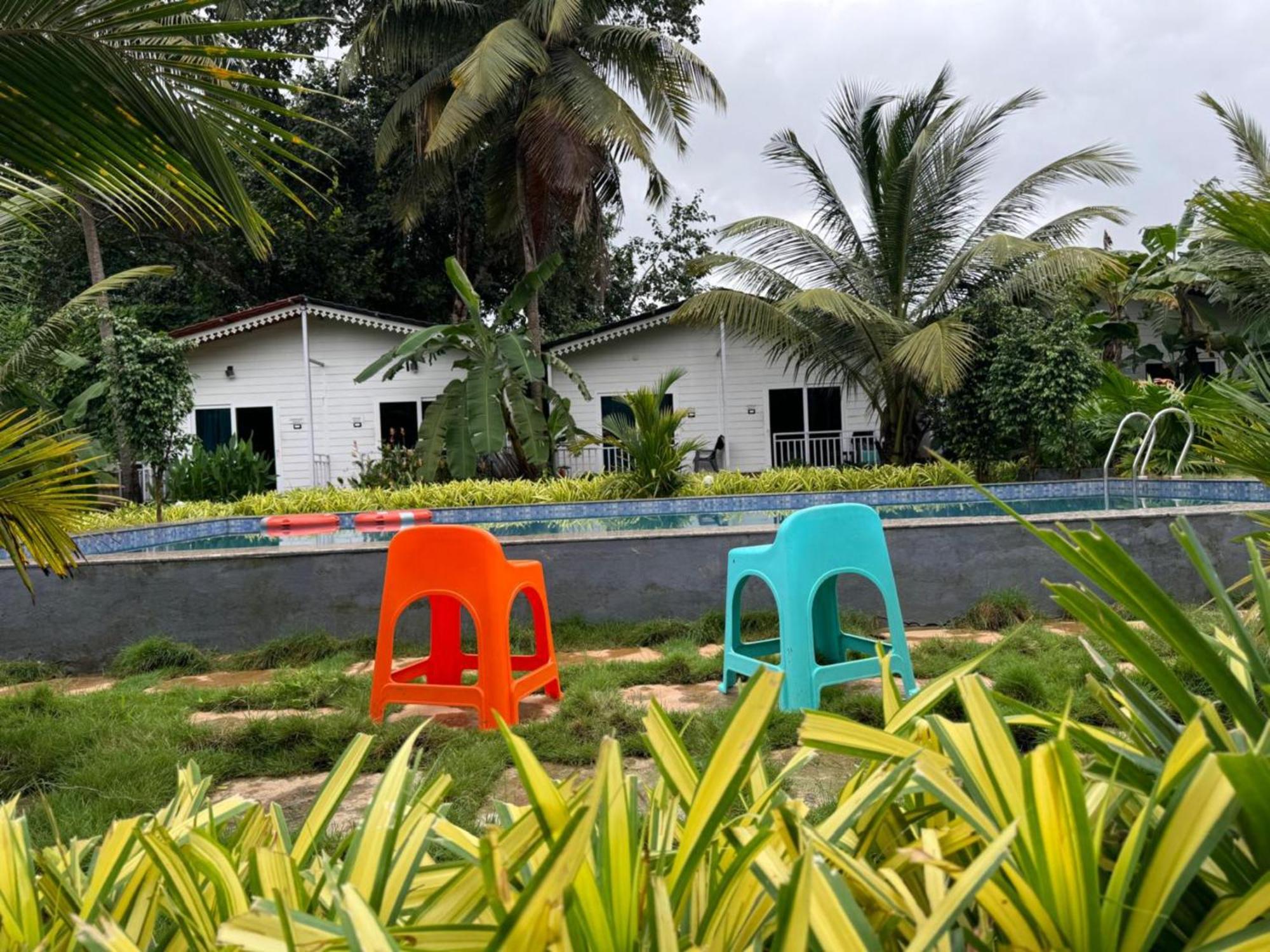 White Truffle Resort, Arambol Exterior foto